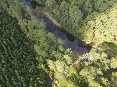River Frontage on the Antoine River in Clark County, AR - image 29