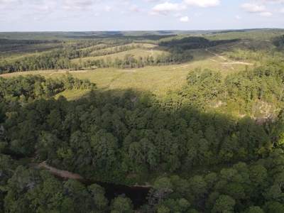 River Frontage on the Antoine River in Clark County, AR - image 25