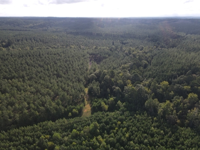 River Frontage on the Antoine River in Clark County, AR - image 36