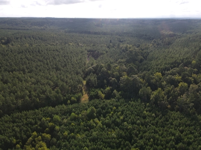River Frontage on the Antoine River in Clark County, AR - image 37