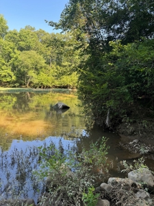 River Frontage on the Antoine River in Clark County, AR - image 4
