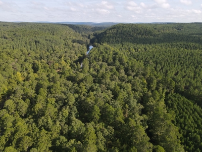 River Frontage on the Antoine River in Clark County, AR - image 28