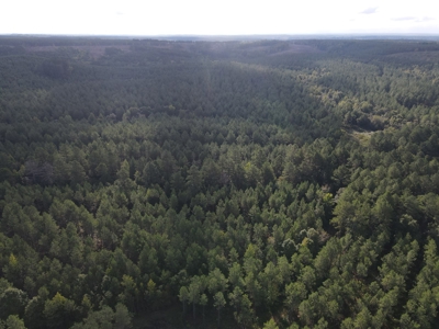 River Frontage on the Antoine River in Clark County, AR - image 38