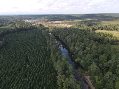 River Frontage on the Antoine River in Clark County, AR - image 24