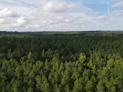 River Frontage on the Antoine River in Clark County, AR - image 16