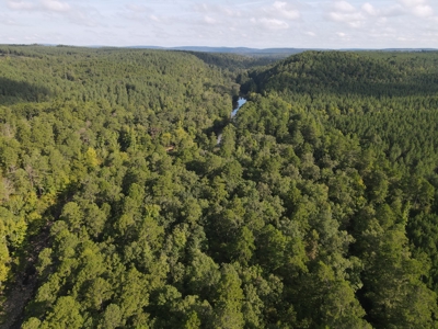 River Frontage on the Antoine River in Clark County, AR - image 23