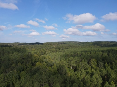 River Frontage on the Antoine River in Clark County, AR - image 12