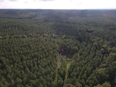 River Frontage on the Antoine River in Clark County, AR - image 35