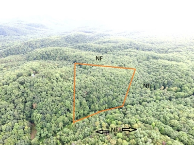 Hunting Land For Sale In Wythe County VA - image 2