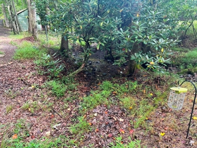 Hunting Land For Sale In Wythe County VA - image 10