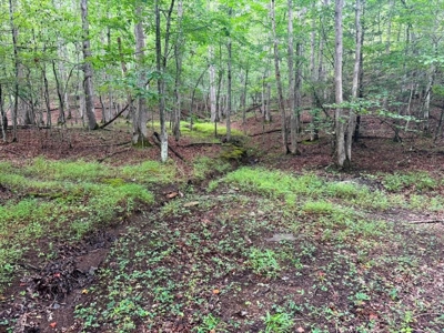 Hunting Land For Sale In Wythe County VA - image 21