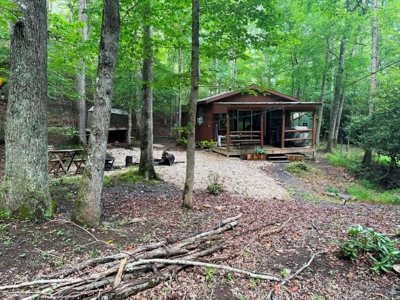 Hunting Land For Sale In Wythe County VA - image 20