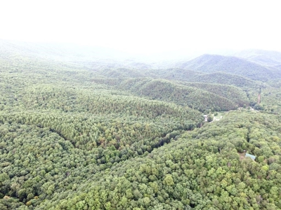 Hunting Land For Sale In Wythe County VA - image 1