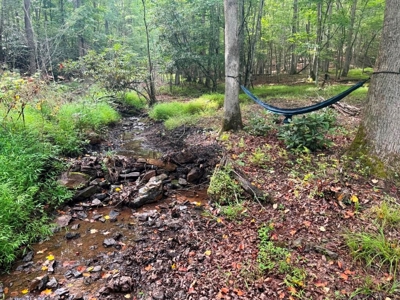 Hunting Land For Sale In Wythe County VA - image 12