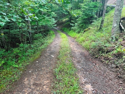 Hunting Land For Sale In Wythe County VA - image 5