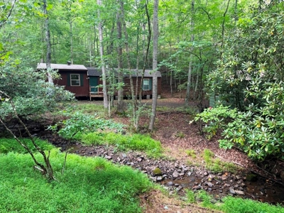 Hunting Land For Sale In Wythe County VA - image 19