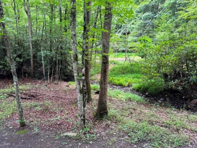 Hunting Land For Sale In Wythe County VA - image 31