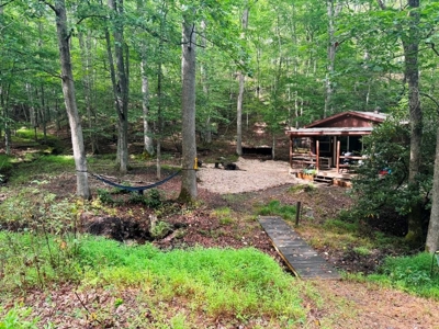 Hunting Land For Sale In Wythe County VA - image 14