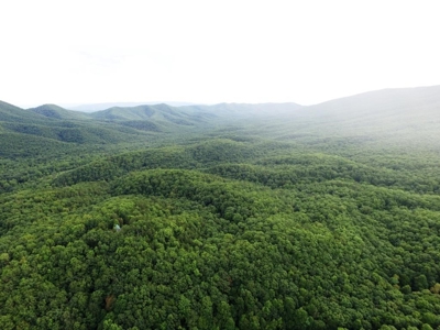 Hunting Land For Sale In Wythe County VA - image 3