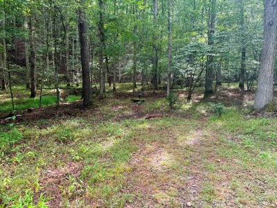 Hunting Land For Sale In Wythe County VA - image 13
