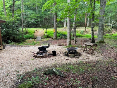 Hunting Land For Sale In Wythe County VA - image 34