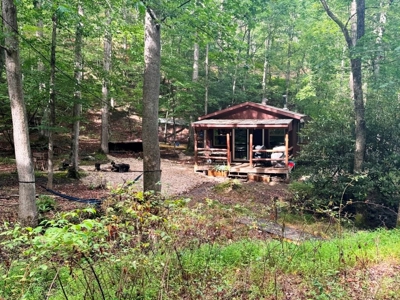 Hunting Land For Sale In Wythe County VA - image 15
