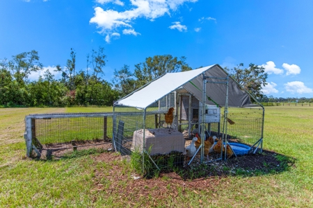 Country Home For Sale In Live Oak Florida!!! - image 5