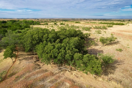 Casey Tillman 201.55± Acres Harmon, County, Vinson - image 17
