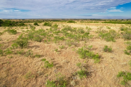 Casey Tillman 201.55± Acres Harmon, County, Vinson - image 19