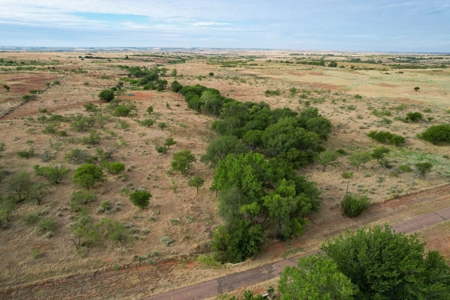 Casey Tillman 201.55± Acres Harmon, County, Vinson - image 9
