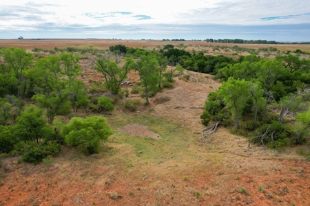 Casey Tillman 201.55± Acres Harmon, County, Vinson - image 23