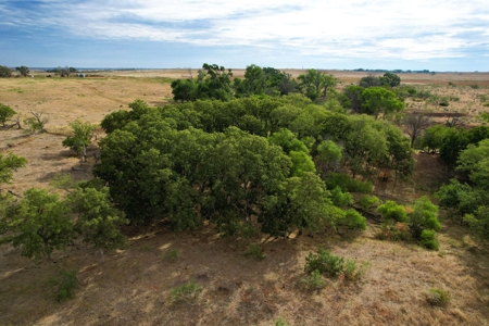 Casey Tillman 201.55± Acres Harmon, County, Vinson - image 18
