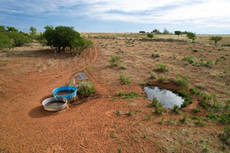 Casey Tillman 201.55± Acres Harmon, County, Vinson - image 15