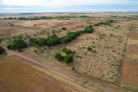 Casey Tillman 201.55± Acres Harmon, County, Vinson - image 10