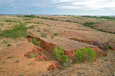 Casey Tillman 201.55± Acres Harmon, County, Vinson - image 1