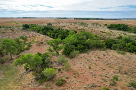 Casey Tillman 201.55± Acres Harmon, County, Vinson - image 20
