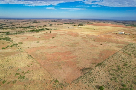 Casey Tillman 201.55± Acres Harmon, County, Vinson - image 14