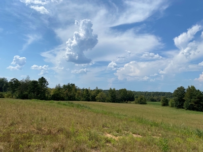 Country Home For Sale In Tn, 68 Ac+/-, Sheds, Pond, & Creek - image 8