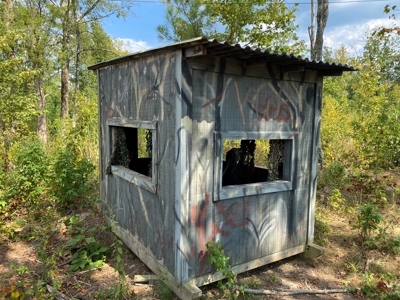 Country Home For Sale In Tn, 68 Ac+/-, Sheds, Pond, & Creek - image 5