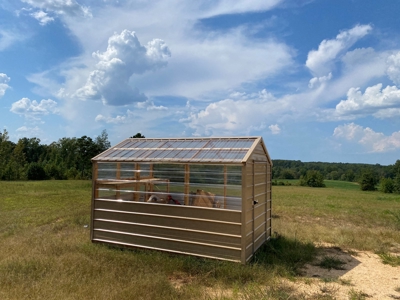 Country Home For Sale In Tn, 68 Ac+/-, Sheds, Pond, & Creek - image 6