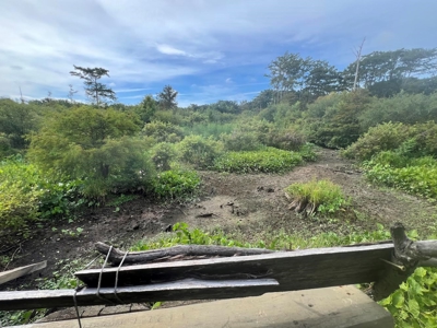 Hunting Property - image 9