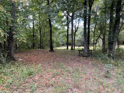 Hunting Property - image 1