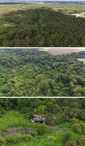 Hunting Property - image 2