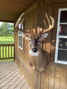 Hunting Property - image 7