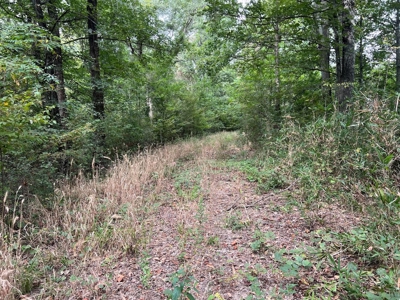 Hunting Property - image 6