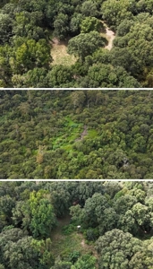 Hunting Property - image 3