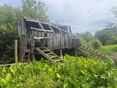 Hunting Property - image 8