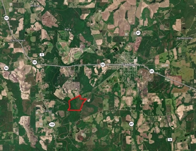 202ac Riverfront Hunting Land for Sale South Alabama - image 42