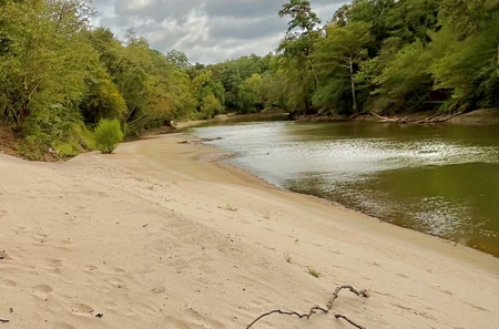 202ac Riverfront Hunting Land for Sale South Alabama - image 45