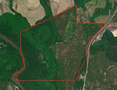 202ac Riverfront Hunting Land for Sale South Alabama - image 11
